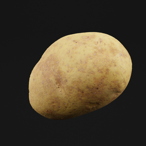 Potato Vegetable