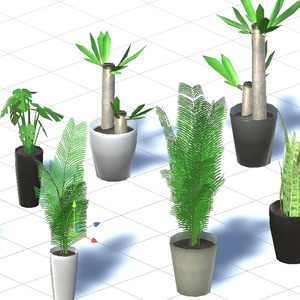 観葉植物