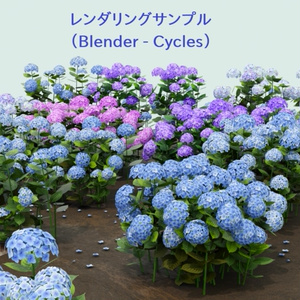 あじさい（紫陽花） 缩略图 8