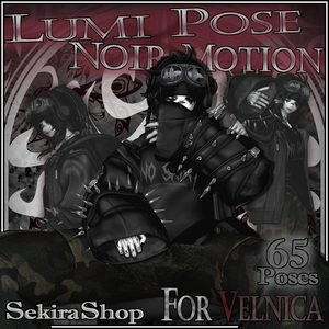 LUMI＆NOIR For VELNICA Motion