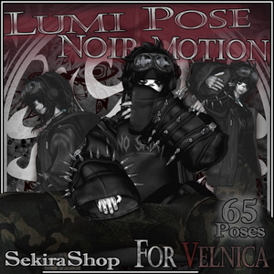 LUMI＆NOIR For VELNICA Motion