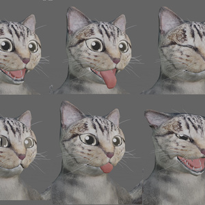 猫(ヒューマノイド型)データ 