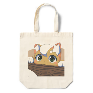 イラスト ラティアス ラティオス ノエルのイラスト Pixiv