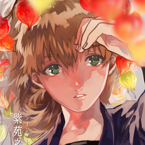 紫苑之常