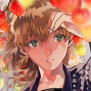 【小説版】紫苑之常