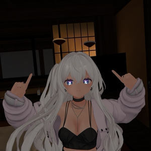 【VRChat用アバターギミック】戦う！独楽ヘイロー 缩略图 8