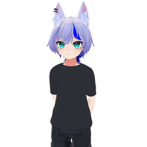 ベーシックTシャツ ハオラン HAOLAN 対応