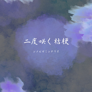 二度咲く桔梗