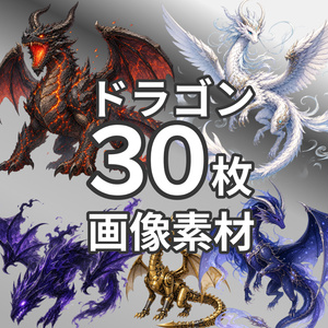 【クレジット表記不要】ドラゴン 画像素材集 30種パック【ゲーム制作・TRPG・配信などのキャラ素材に】