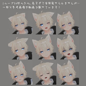 [彼方対応]ループ表情ランダムシステム[MA対応] 缩略图 3