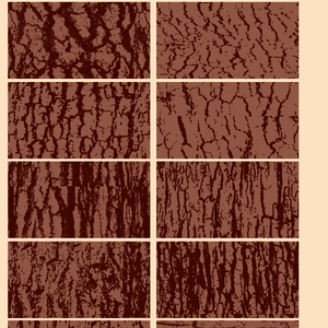 SAI2 tree bark textures