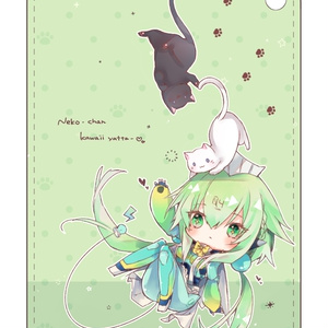 エメラ パスケース
