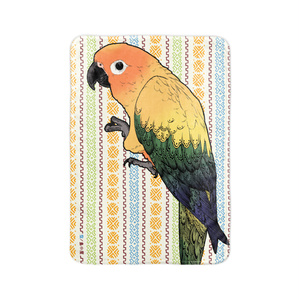コガネメキシコインコ・ブランケット