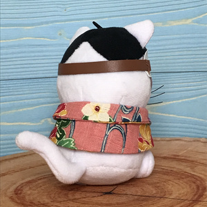 子たぬきの。。。着ぐるみ (のるキャラ/もちころ/もちマス/もちぬい