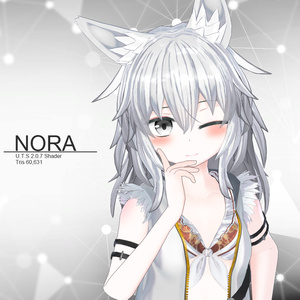 オリジナル3Dモデル(Nora)