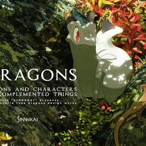 DRAGONS　箱