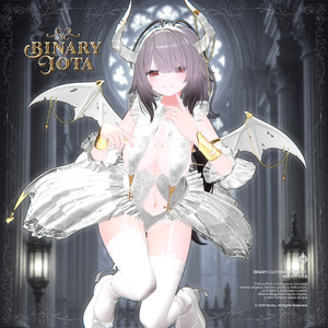 BCP-09 ✢ Iota Clothing Project 缩略图 3
