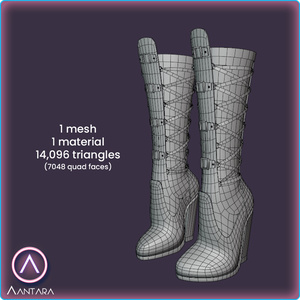 TipToe Gothic Boots 缩略图 3