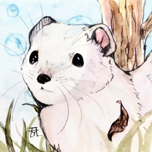 traditional, transparent watercolor, animal / ここだけが世界の