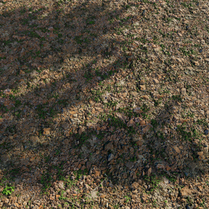 Ground Texture (8)