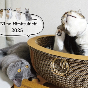 【壁掛け】2025年1月始まり　うにの秘密基地壁掛けカレンダー【※2024年12月上旬から順次発送】