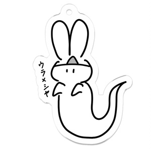 バケうさ