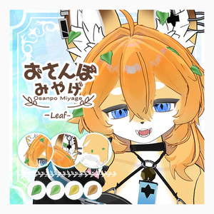 おさんぽみやげ-はっぱ-