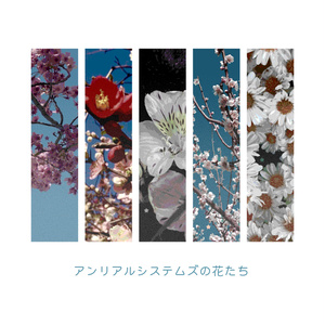 【画像素材】アンリアルシステムズの花たち