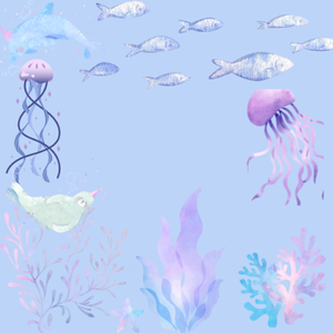 海と生き物