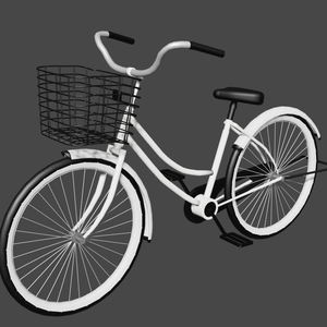 Super MotherBicycle