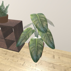 VRChat想定 おしゃれ観葉植物 缩略图 4
