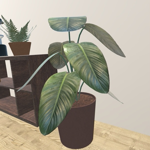 VRChat想定 おしゃれ観葉植物 缩略图 2