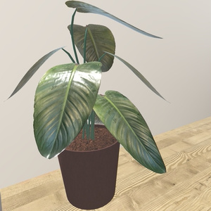 VRChat想定 おしゃれ観葉植物