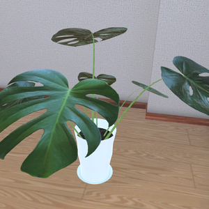 VRChat想定 モンステラ