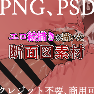 エロ絵描きが描いた断面図素材