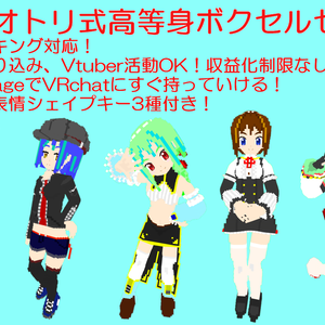 カノエ・オトリ式高等身ボクセルセット
