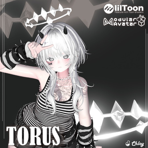 "TORUS" 3Dアクセサリー [VRChat]
