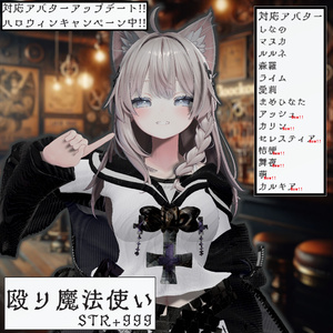 【14アバター対応！】殴り魔法使い STR+999【しなの，マヌカ，ルルネ，森羅，ライム，愛莉，まめひなた，アッシュ，カリン，セレスティア，桔梗，舞夜，萌，カルキア】