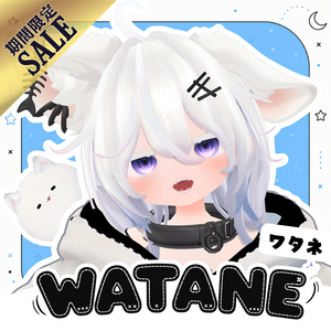 【SALE！】🦊新作オリジナル3Dモデル いたずら大好き「ワタネ」ちゃん