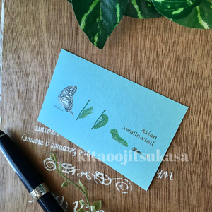 Asian swallowtailメッセージカード