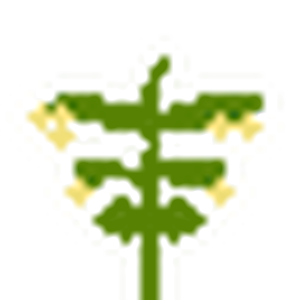 芽を出す植物
