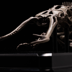 Insomnia3D 叫ぶマーモット ScreamingMarmot 1st Color - insomnia3D