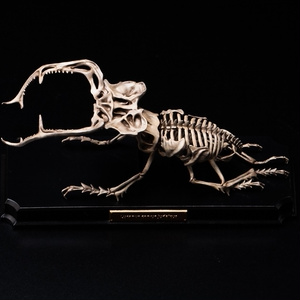 Insomnia3D 叫ぶマーモット ScreamingMarmot 1st Color - insomnia3D