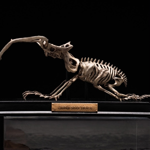 BC-1] オリジナルガレージキット - molding mule - BOOTH