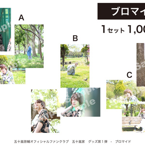 第1弾ブロマイド（Cセット）
