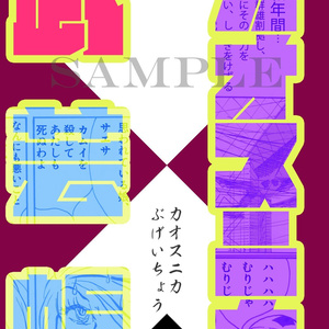 カオスニカ武芸帳〈一〉