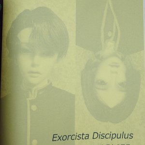 四龍島 弱冠』四龍島20周年記念私家版 - 《真樹堂書舗》shinjudo