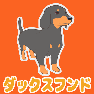 ダックスフンド　黒茶
