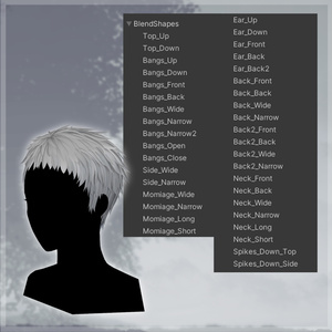 【ベリショヘア】Cropped-ShortHair【14Avatar】 缩略图 18
