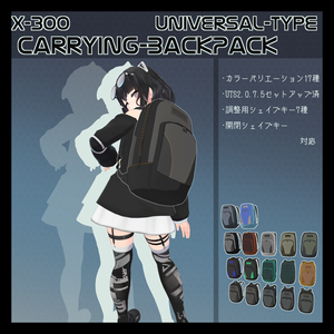 3Dモデル  X300キャリングバックパック